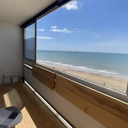 Le Dauphin Bleu Face Mer Apartment *